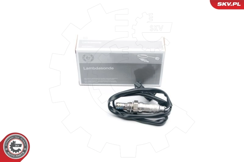 Oxygen Sensor